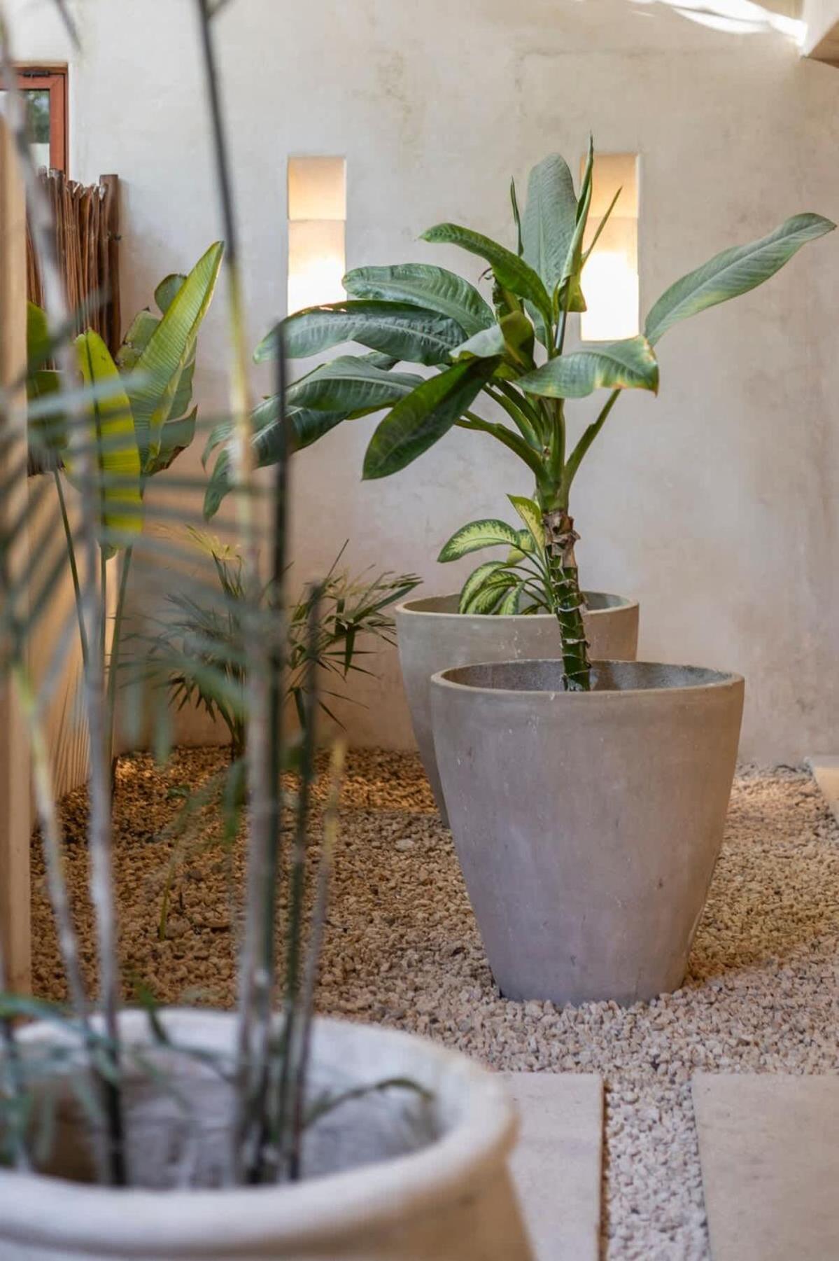 Casa Viento Private Pool Garden 12min To * Tulum