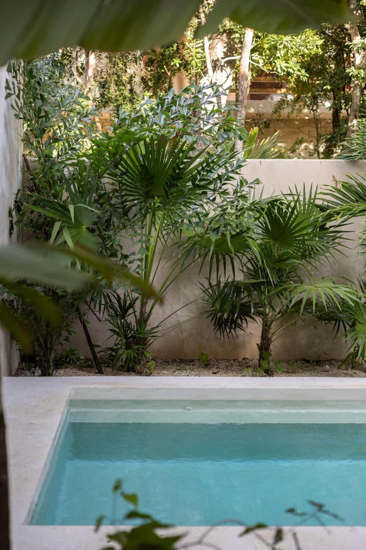 Apartment Casa Viento Private Pool Garden 12min To *