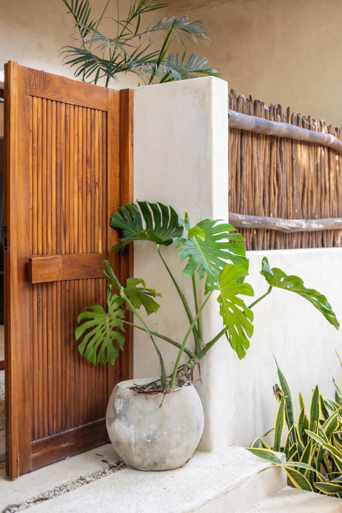 Casa Viento Private Pool Garden 12min To * Tulum